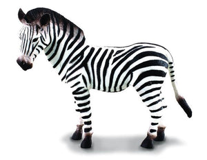 New Product Zebra